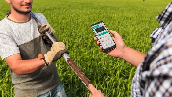Proteínas vegetales: cómo producir alimentos para una dieta balanceada