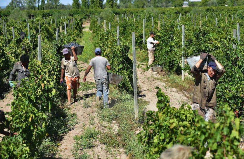 Sucesiones: buscan asegurar la continuidad de la explotación de las propiedades agrícolas