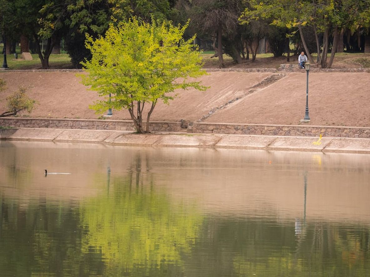 Otoño en Mendoza: el sábado estará fresco, nublado y con precipitaciones aisladas.  Foto: Ignacio Blanco / Los Andes