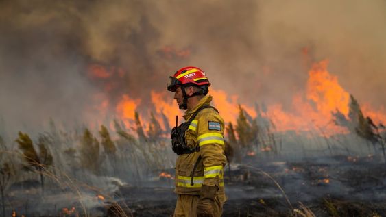 Los incendios en Corrientes ya arrasaron con el 40% del Parque Nacional del Iberá, donde científicos habían logrado reinsertar animales en peligro de extinción.  AP