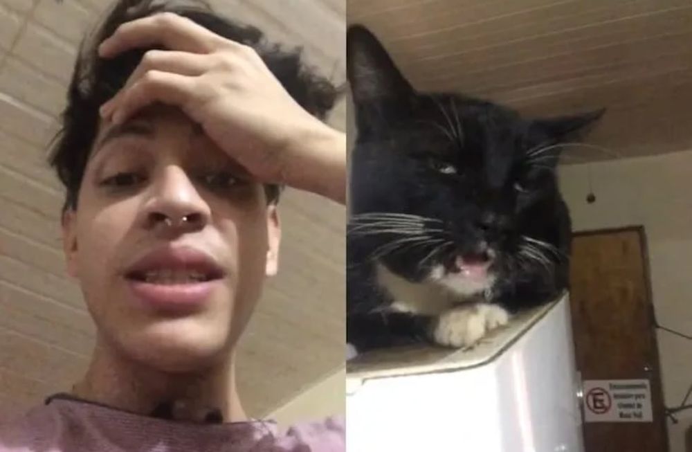 El influencer tuvo que salir a aclarar que su mascota se encontraba bien. Foto: Web