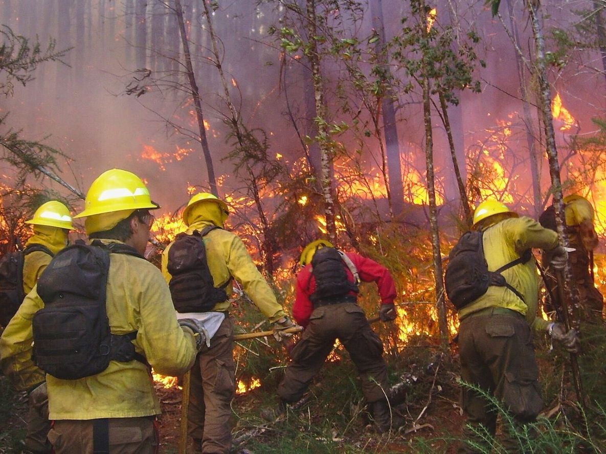 Incendios del Sur: hay que invertir más en su combate