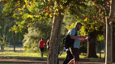 Lo verde - Por Jorge Sosa