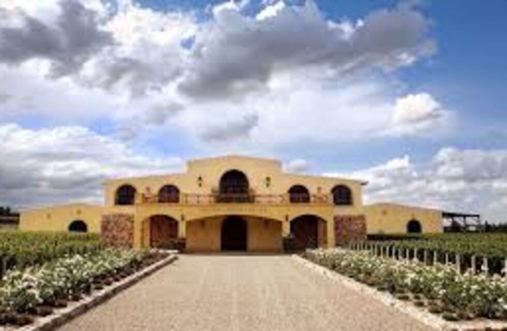 Vino Chacayes 2015 de bodega piedra negra, elegido como el mejor vino argentino 2020