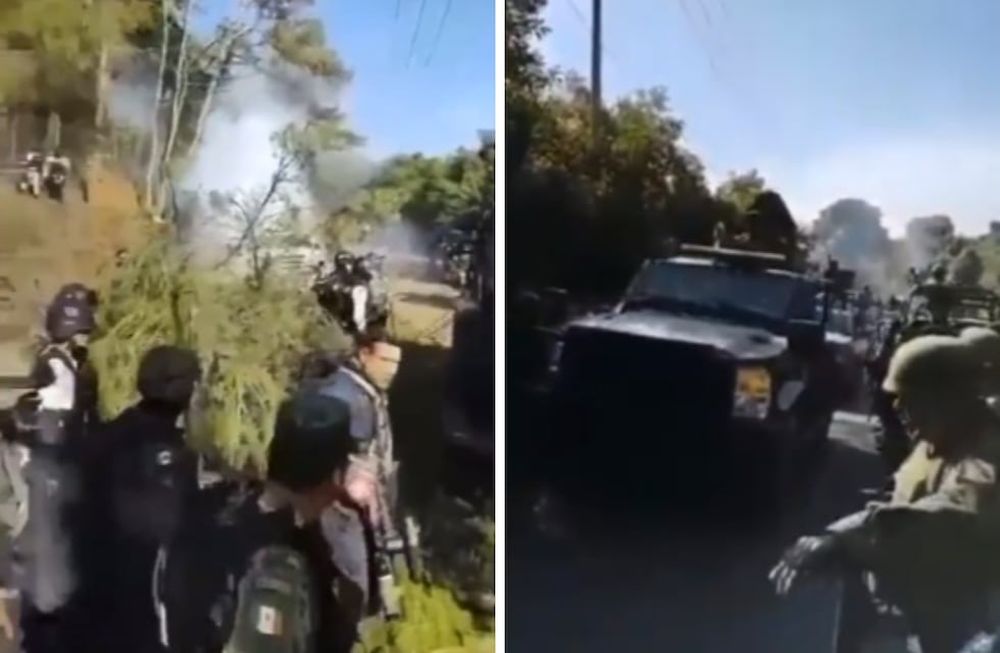 Al menos 11 narcos murieron en un tiroteo con fuerzas de seguridad en México. Un mono, mascota de la pandilla y que tenía un chaleco antibalas, también murió en la balacera.