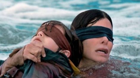 Bird box: suspenso a ciegas - Por Daniel Arias Fuenzalida
