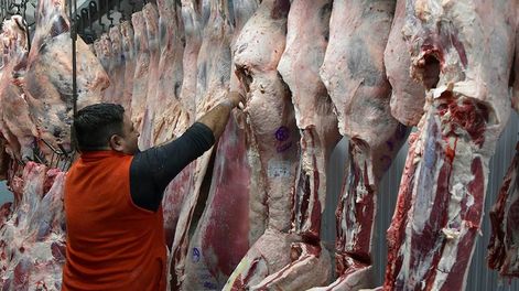 Los Andes | Un informe realizado por Coninagro y publicado el viernes por Los Andes, pone en números una realidad que a muchos les cuesta digerir. / Foto: Orlando Pelichotti / Los Andes