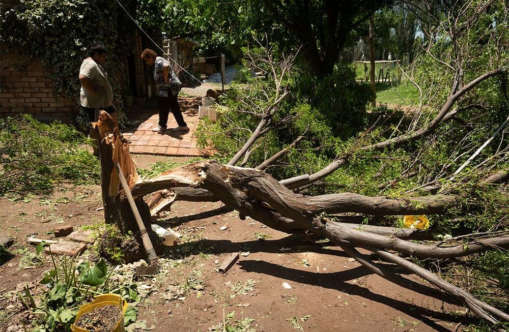 Fuertes vientos y caída de granizo sobre viviendas y terrenos cultivados La tormenta de ayer afectó unas 17 mil hectáreas productivas de Lavalle y zona Este