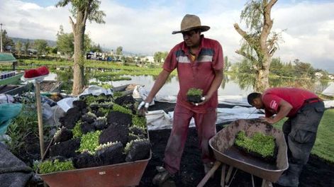 Campesinos mexicanos rescatan receta ancestral para cultivos agrícolas