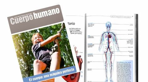 La lección de anatomía