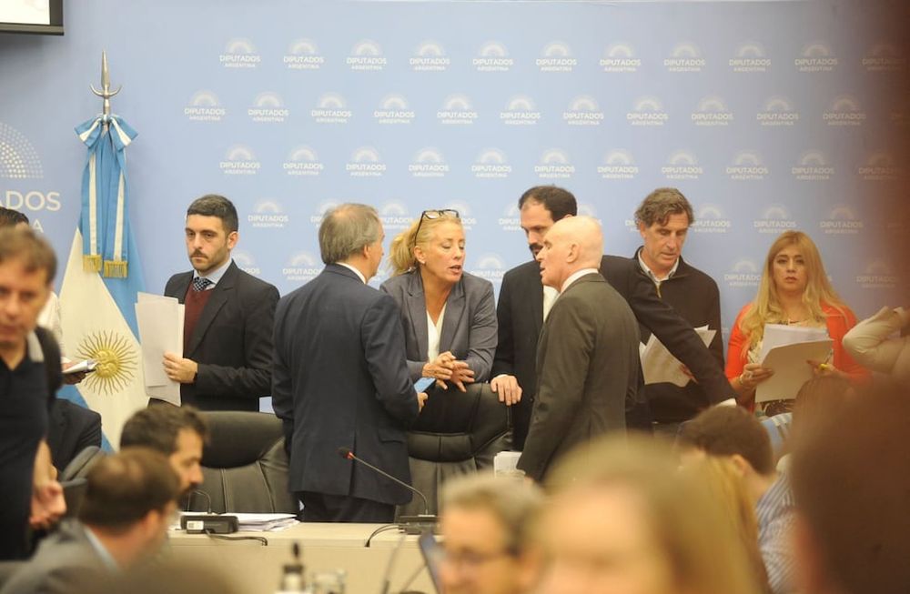 En el plenario de las comisiones de Legislación General, Presupuesto y Asuntos Constitucionales dieron dictamen a la Ley Bases. Foto: Federico López Claro