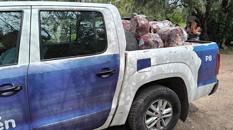 Operativo en Guaymallén: Decomisan 6.000 kg de Carne de Dudosa Procedencia