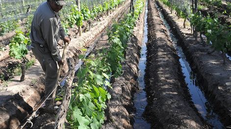 Los Andes | Se busca que más empresas midan la cantidad de agua utilizada e implementen técnicas para hacer un uso más eficiente de los recursos naturales. / Los Andes