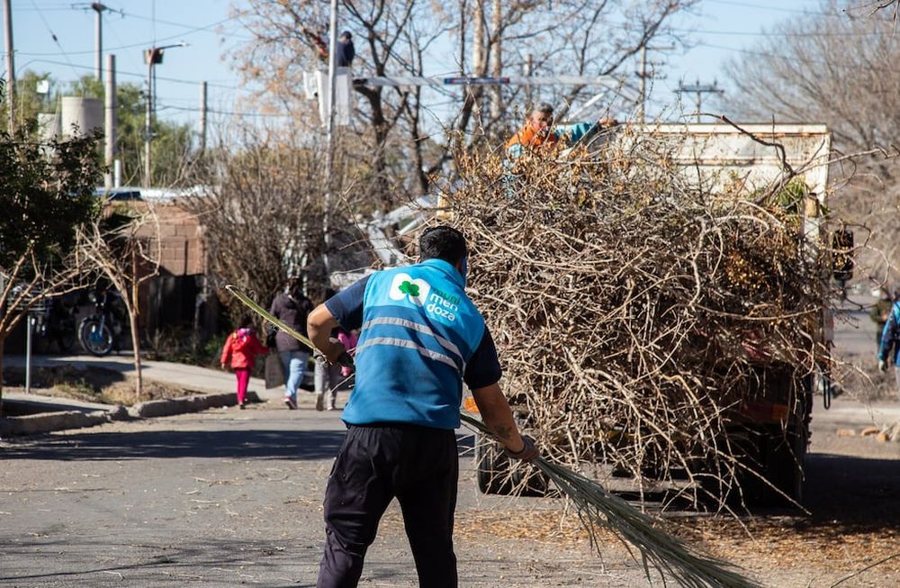 Se inicia una nueva semana de trabajos en arbolado y bacheo de arterias
