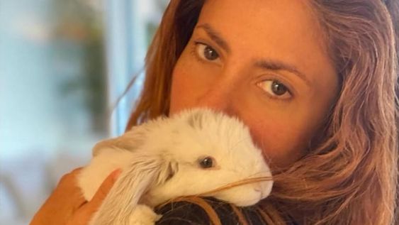 Shakira y un tierno video en el que declara su amor por los conejos