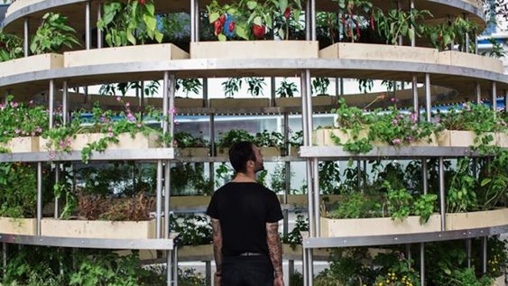 Cuando la arquitectura está al servicio de los alimentos