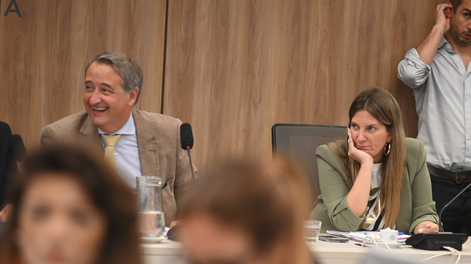 Nicolas Mayoraz y Silvia Lospennato, en el plenario de comisiones por Ficha Limpia. Foto Federico López Claro | Clarín&nbsp;