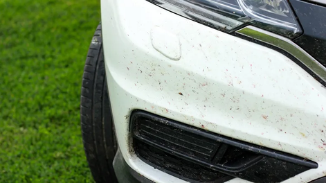 Una limpieza profunda: cómo dejar el paragolpes de tu auto como nuevo