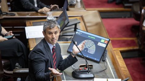 El oficialismo busca acelerar la discusión del DNU y citó la bicameral del CongresoLa Cámara de Diputados aprobó esta tarde el proyecto oficial de reforma electoral que incluye la suspensión de las PASO para el corriente año, por lo que la iniciativa deberá ser debatida ahora en las sesiones extraordinarias del Senado.