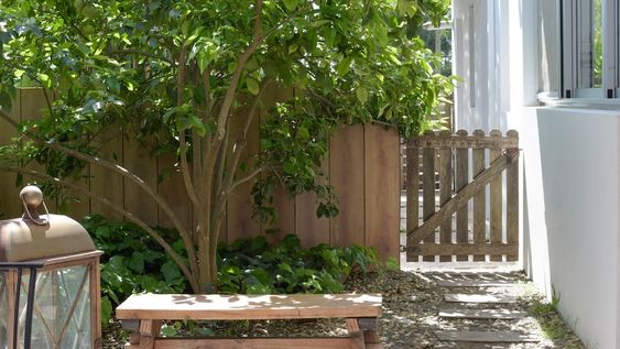 Madera desnuda, más que una tendencia