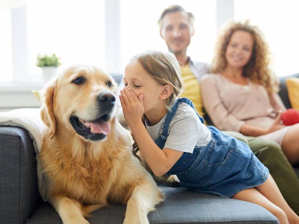 Esto significa hablar con los perros, según la psicología.