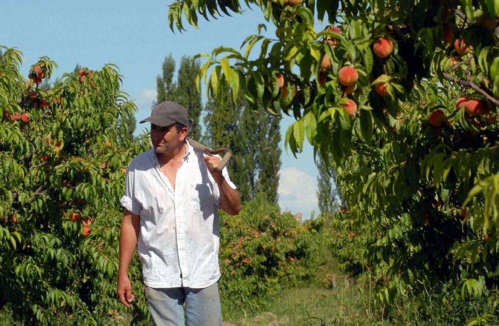 Productores del sur&nbsp;