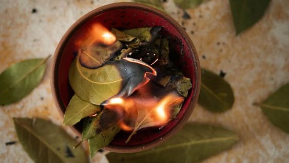 El ritual de la sal y el laurel no se trata de un acto mágico aislado, sino de un ritual simbólico tradicional del Feng Shui.