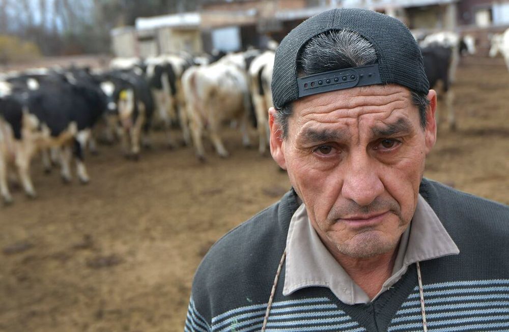 Mendoza 09 Agosto  de 2021 EconomíaTambero Luis Oscar Gonzalez.Historias diarias. El tambero Luis Oscar González (61), trabaja en el Tambo Guercio, ubicado en Bermejo Guaymallén desde hace 17 años.Desde niño se dedica al cuidado de ganado y de ordeñar vacas.Foto: Orlando Pelichotti / Los Andes