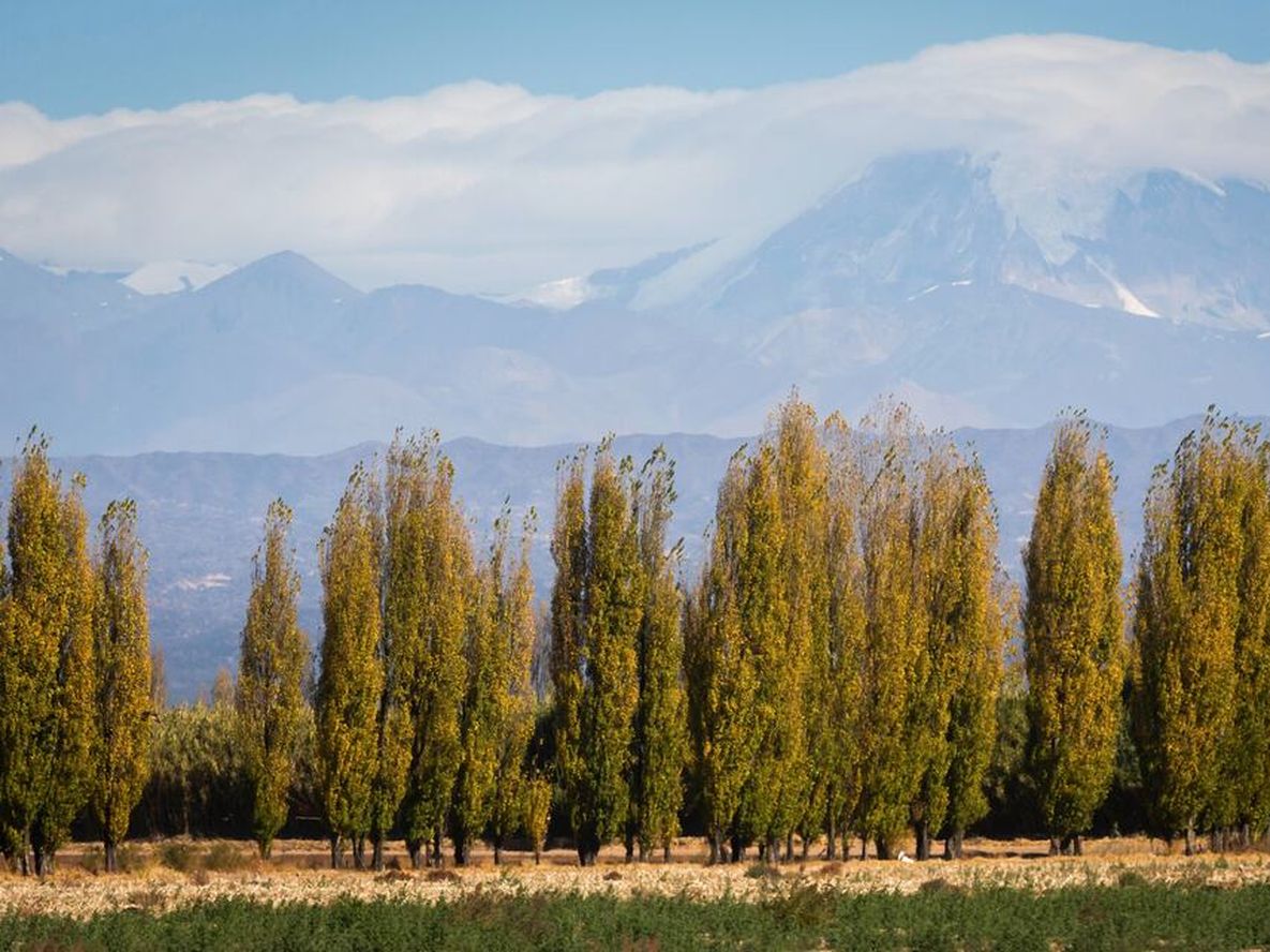 Ignacio Blanco / Archivo Los Andes