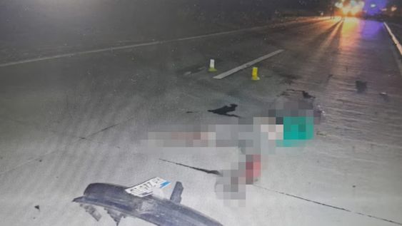 El hecho ocurrió sobre la Ruta Provincial 53, a la altura de Florencio Varela, durante la madrugada del domingo.