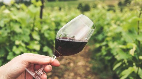 El INV determinó el grado alcohólico mínimo de los vinos genéricos cosecha 2024