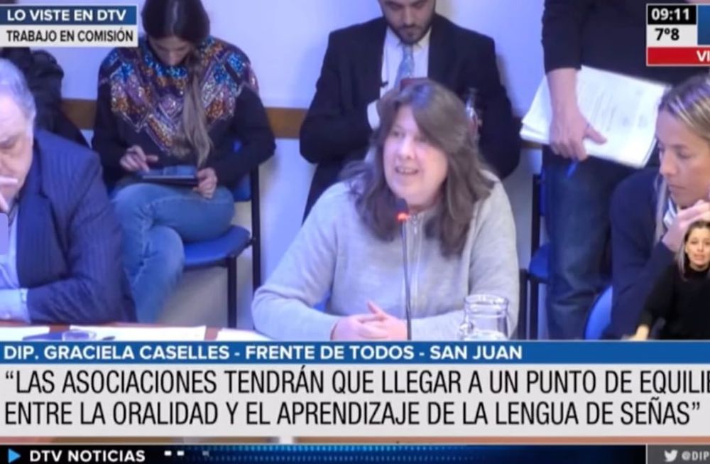 “Todos los agentes del Estado necesitamos estar capacitados, saber y conocer sobre discapacidad”, aseguró la diputada Natalia de la Sota. Captura de Pantalla.