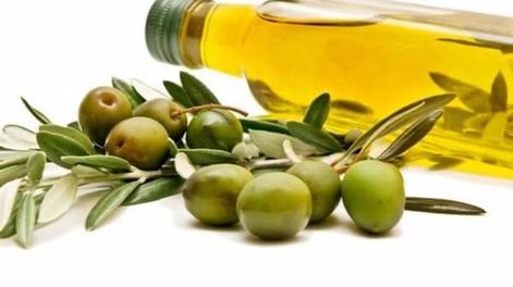 Aceite de oliva. /Imagen ilustrativa.