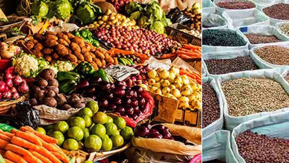 Se redujeron a 0% las retenciones a las exportaciones de productos ecológicos, biológicos y orgánicos