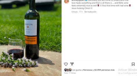 Los Andes | Britney Spears probó un vino mendocino. El vino real se siente muy bien, escribió la cantante en su cuenta. Instagram @britneyspears