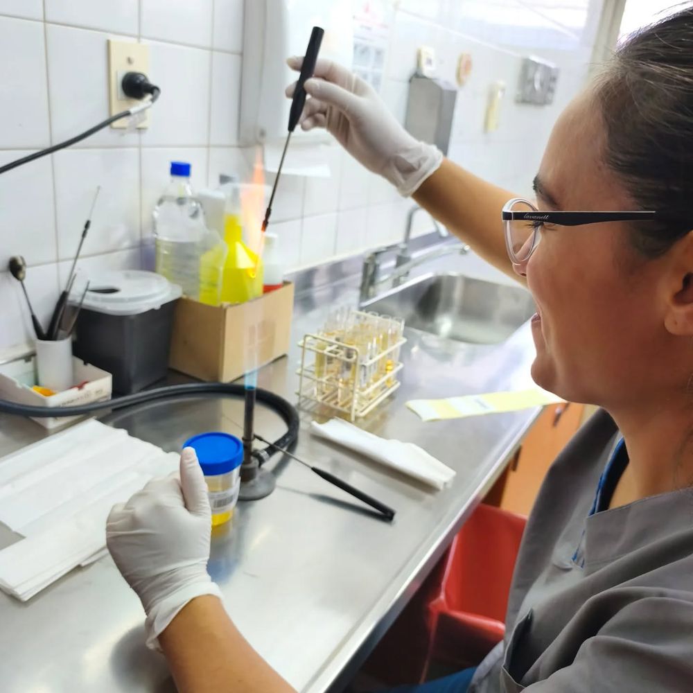 El laboratorio que no se detiene: más de 153 mil análisis clínicos en solo tres meses en el Perrupato.
