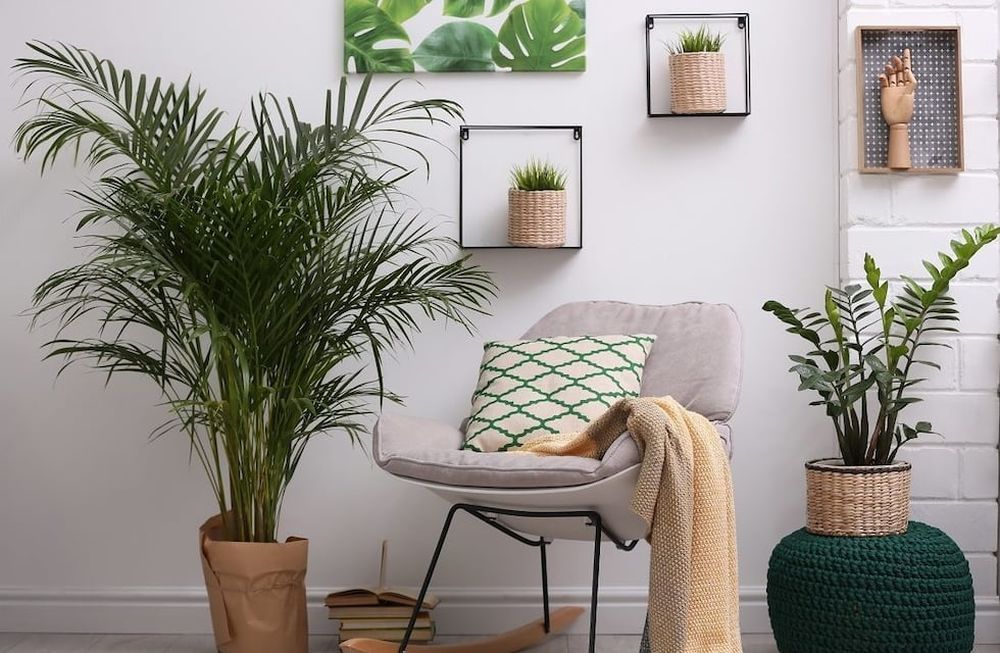 Las plantas que debes tener en tu casa según el mes en que naciste