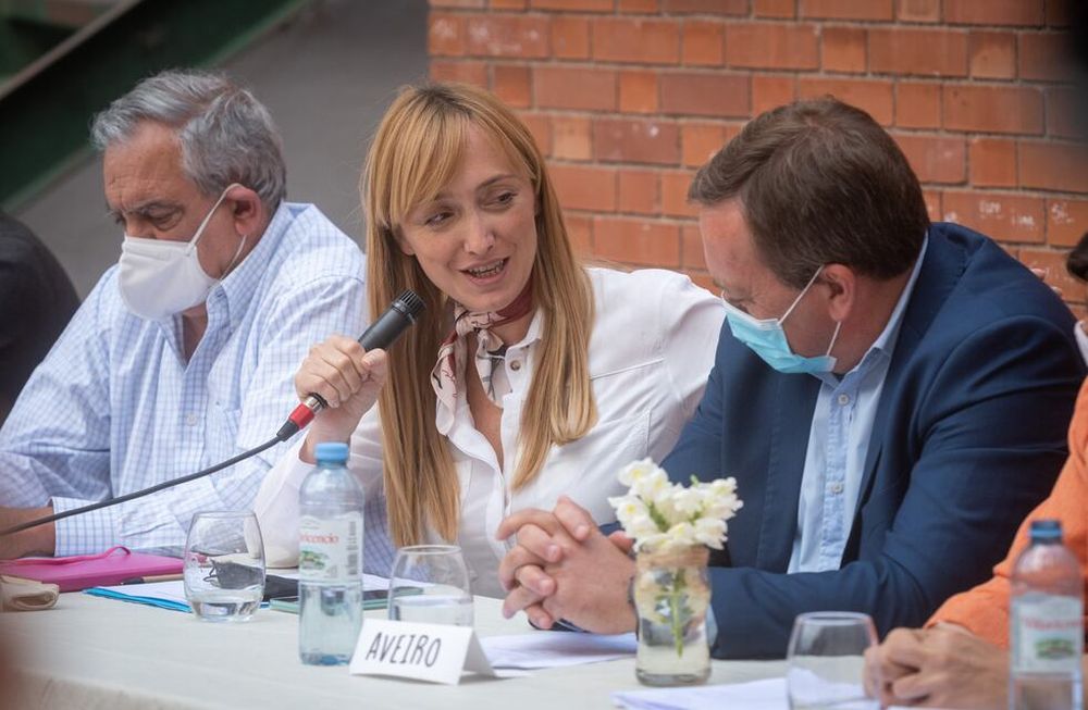 El Frente de Todos no pudo retener el caudal de votos alcanzado en las PASO en siete departamentos donde había tenido competencia interna. Foto Ignacio Blanco /  Los Andes
