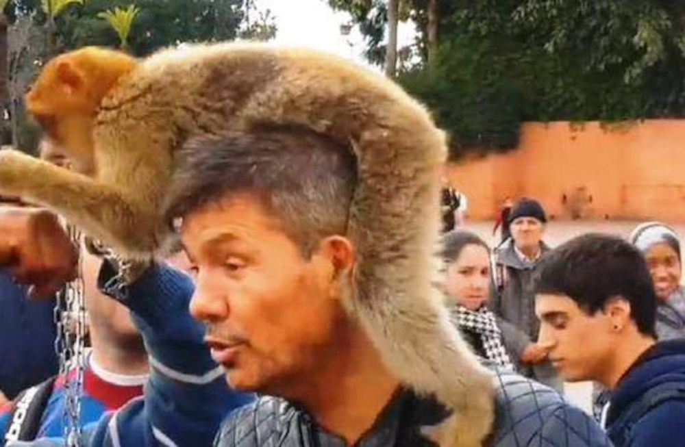 Video: Tinelli posó con un mono en su cabeza en una plaza de Marrakech