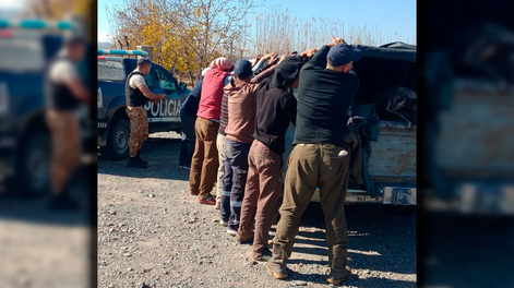 Los Andes | Detectaron a siete presuntos cazadores con galgos en campos de Tupungato