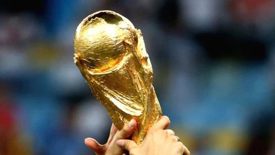La Copa del Mundo contará con varios jugadores argentinos que tienen su propio vino.