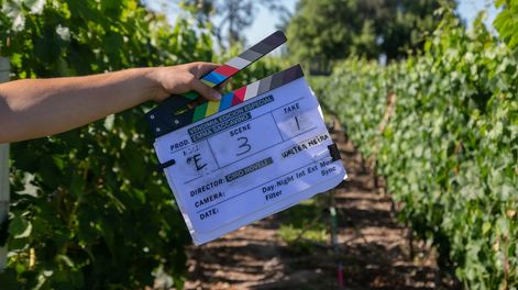 Los Andes | El Gobierno de Mendoza quiere -y avanza en las conversaciones- para que el audiovisual del Especial Vendimia 2021 se pueda ver en las salas de cine de Mendoza.