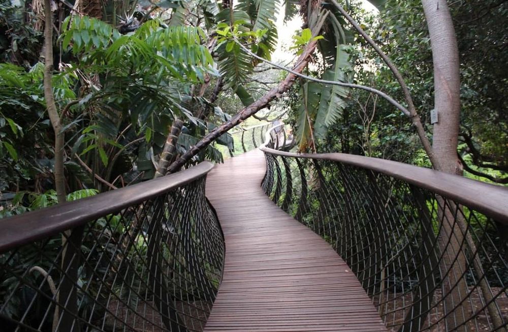 Construí un puente colgante en tu jardín
