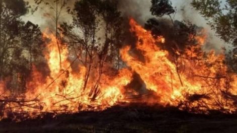 Los Andes | El 3,8 % de la superficie total de la provincia de Corrientes, lo que equivale a 335.043 hectáreas, resultó afectada por el fuego.