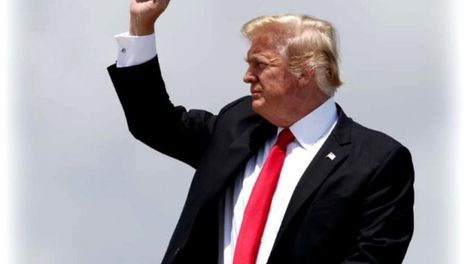 El tigre de papel y las elecciones de medio tiempo en los EEUU - Por Juan Guillermo Milia