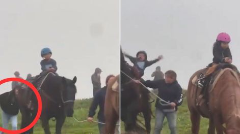 Detenida tras tirarle la cola a un caballo durante un recorrido infantil.