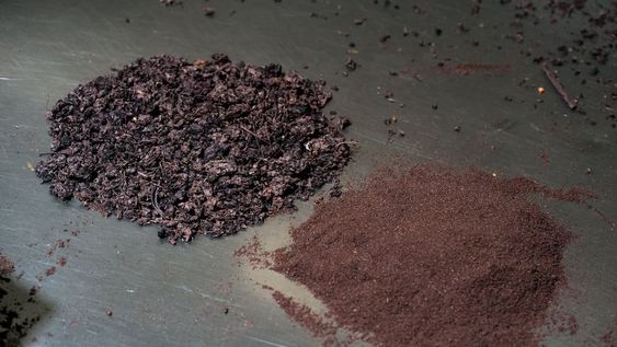 El proyecto de Finca Dinamia busca convertir el orujo en harina de uva, también llamada harina de vino, uva deshidratada o polvo de uva. Gentileza: Finca Dinamia