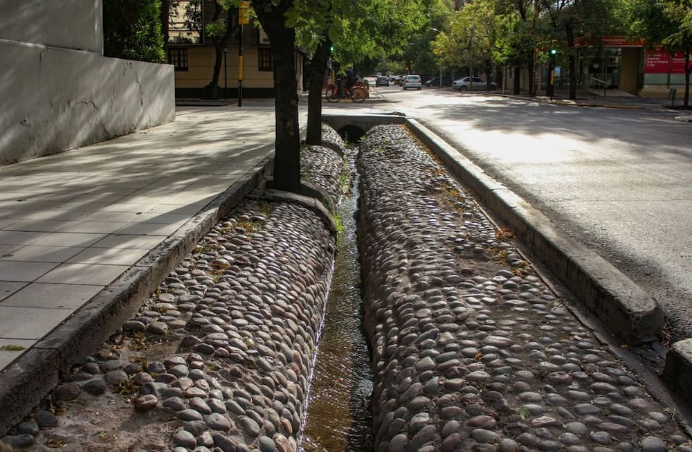 Son un patrimonio de Mendoza, pero nosotros últimamente las usamos para tirar nuestra basura