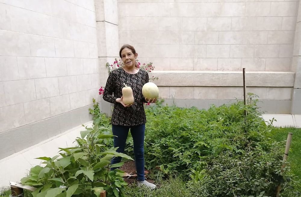 Cristina y Ángel jubilados pusieron una huerta en el patio de su casa.