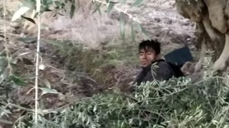 Crimen en Maipú: Reina Flores debía evitar “actos inmorales” para seguir en libertad
